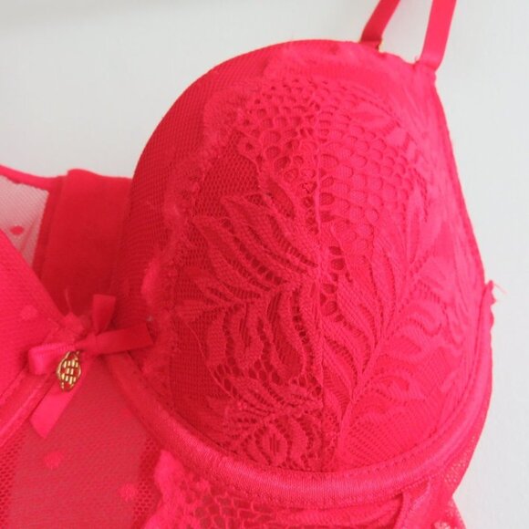 DAISY FUENTES Lace Babydoll Teddy Bra Mesh Negligee Pinup Sexy Y2K - Size M NWT - Picture 7 of 16